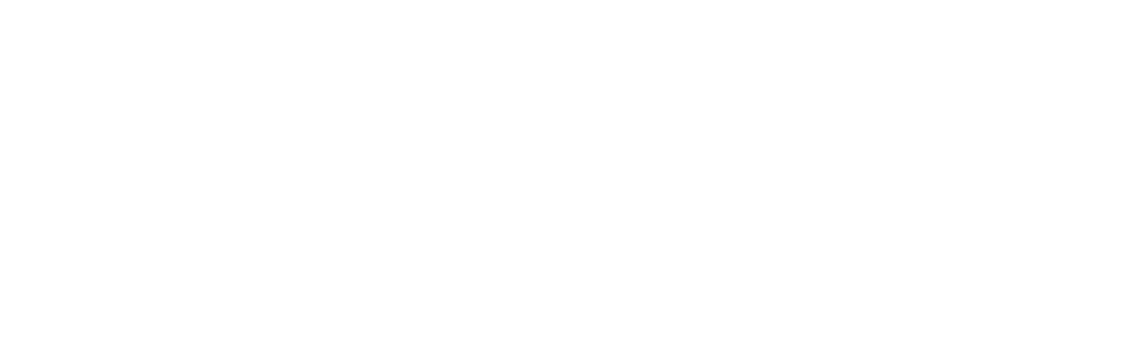 Healthy Nurse, Healthy Nation™